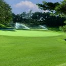 도고컨트리구락부 이미지