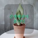 아이치 잡화점 이미지