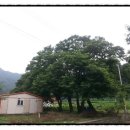 스마일민박 이미지