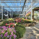 영랑생가 (강남교회) 이미지