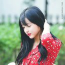 온니 이미지