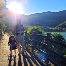 평지못(1) 이미지