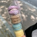 매머드익스프레스일산문화공원점 | 일산 마카롱 맛집 매머드익스프레스 일산문화공원점