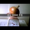 웰빙(자연)음식 이미지