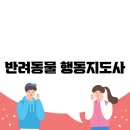 정리수납지도사 | 반려동물 행동지도사, 국가자격증 준비 전략
