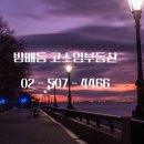 고소영공인중개사사무소 이미지