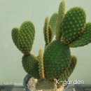 국립금오공과대학교 | 四字成語 총정리 <ㄱ> 1138 금연치약~금오서원