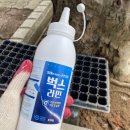 (주)노벅스 방역 | 거미잡는법 찾다가 경계 차단 방식으로 해결한 후기