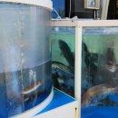 선유북길 이미지