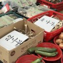 바르게야채