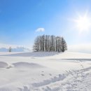 홋카이도 이미지