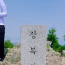 [ 진해 장복산] 편백치유의 숲/ 장복산산행 / 장복산조각공원 / 진흥사