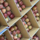 유진농장 이미지