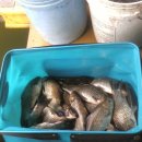 방아실낚시터 이미지