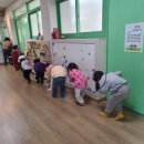 강남초등학교병설유치원 이미지