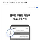 비토(VITO)