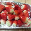 백동농장 이미지