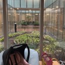 장안자동차병원 | 햇빛병원 자연분만 2박3일 입원후기 (입원vvip실,박정식원장님)