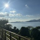 고흥숲속의바다 이미지