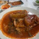 신나게 따라하는 k-POP 이미지