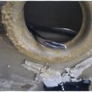 수원-1551 이미지