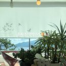 상상펜션 이미지