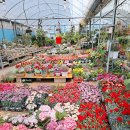 식송농장 이미지