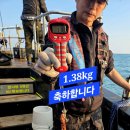 뽑고또뽑고 이미지