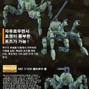 폴리클럽