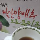 제주양배추브로콜리즙 역시라고 말할수있어