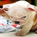 통기타(주말) 이미지