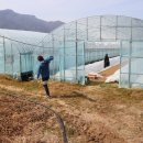 윤희농장 이미지