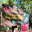 영남알프스 복합웰컴센터 국제클라이밍장 | 영남알프스 신불산 억새평원/ 간월재