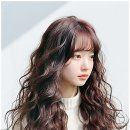 르메르헤어 네이버블로그