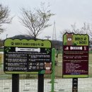 동락공원 반려동물 놀이터 이미지