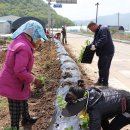 후미3리 이미지