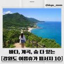 청옥산쉼터 | 강원도 여름휴가 여행지 BEST 10, 바다 말고도 시원한 곳