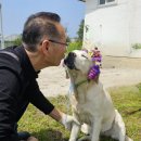 올리농장 이미지