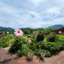 승지축산 이미지