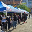 오산마을 | 오산 축제 추천! 세교마을 가을축제 생생후기 &lt;시민기자단 최혜원&gt;