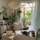 플랜테리어 이미지