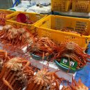 [여행] 주문진 수산시장 강수수산 파지홍게 1만 원 내돈내산 구입후기
