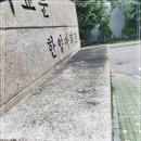 곰팡이사무소