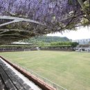 등나무운동장 이미지