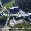 힐링 컴퍼니 네이버블로그