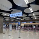 플레이보6익스프레스 | 제주 여행 ✈️｜몽탄, 갈치, 딱새우랑 흑돼지