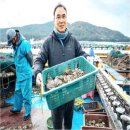 완도1호 이미지