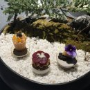 한식한끼(주간) | 기억에 오래 남는 한 끼, 수티문 한식 파인다이닝 후기