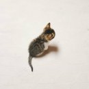 고래PC게임 이미지