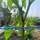 이종준농장 이미지